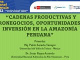 Conferencia Universidad Nacional Autónoma de Alto Amazonas –&nbsp;Perú