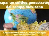 Conferencia: La papa, un cultivo geoestratégico del campo&nbsp;mexicano